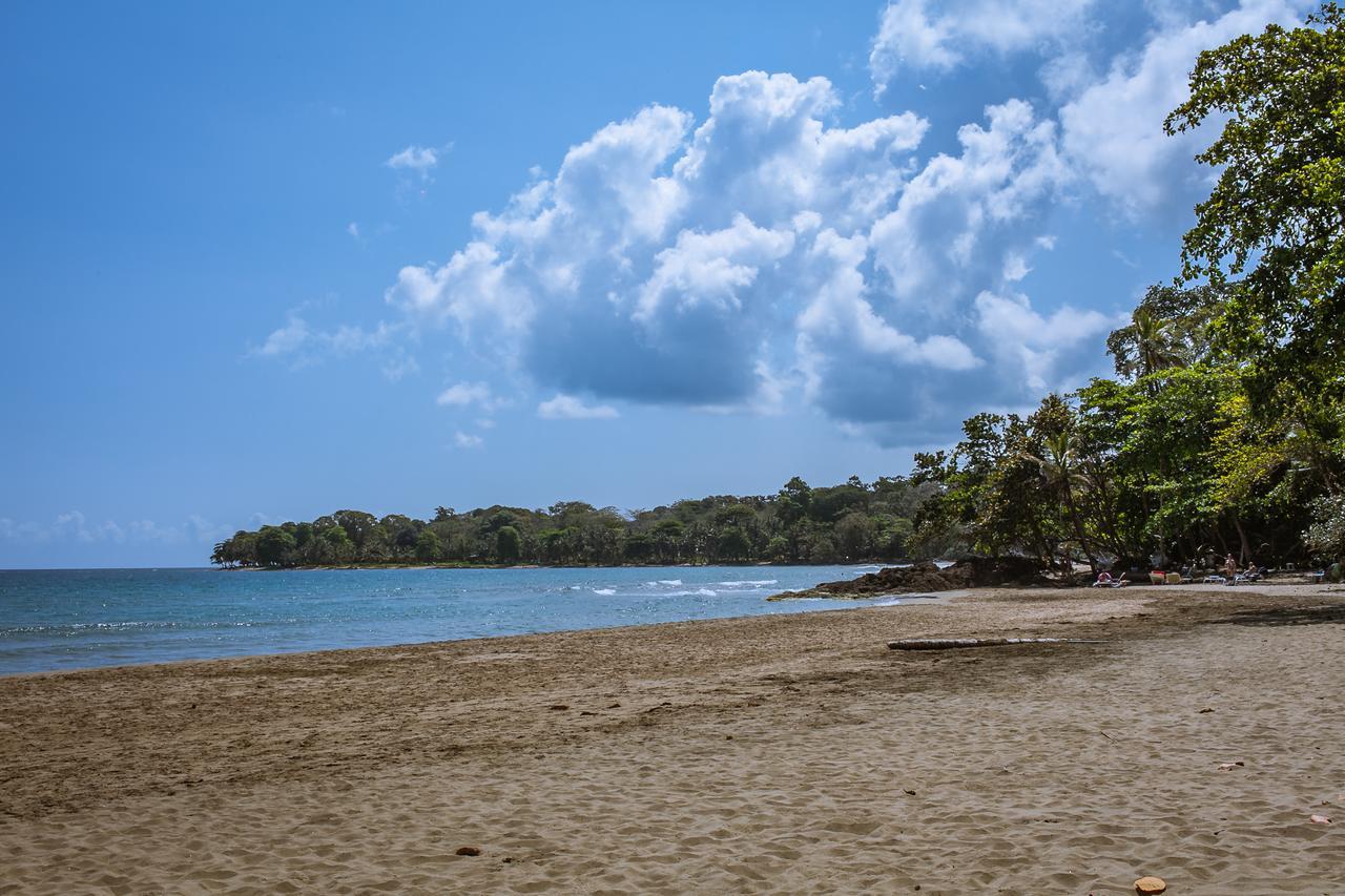 Lapalapa Beachfront Hotel Puerto Viejo de Talamanca Buitenkant foto