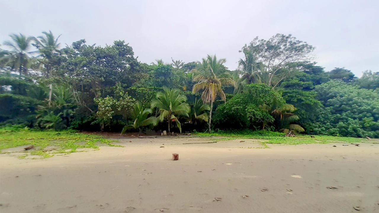 Lapalapa Beachfront Hotel Puerto Viejo de Talamanca Buitenkant foto