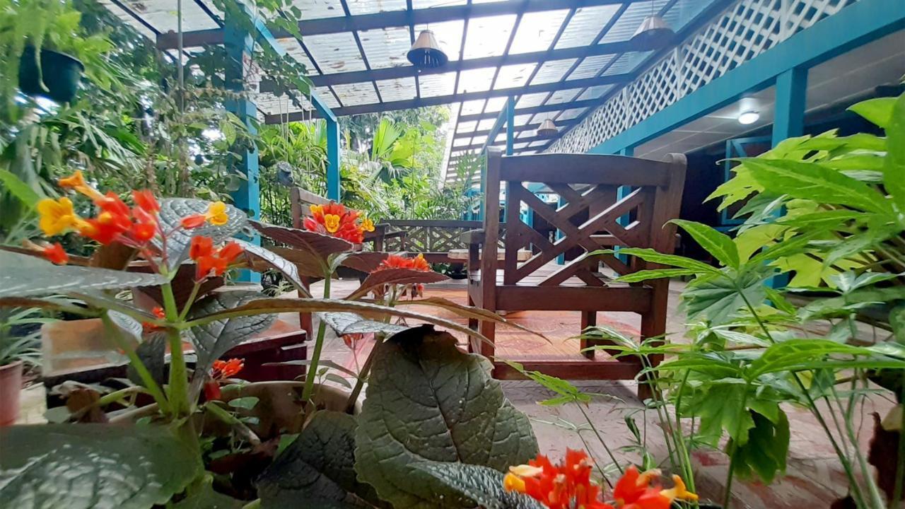 Lapalapa Beachfront Hotel Puerto Viejo de Talamanca Buitenkant foto